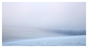 slides/Frosted.jpg winter,fog,frost,snow,harsh,south downs national park,sunset Frosted